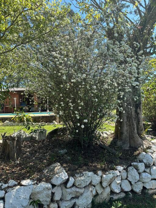 Sitio Beija Flor Em Sao Roque Villa Exterior foto